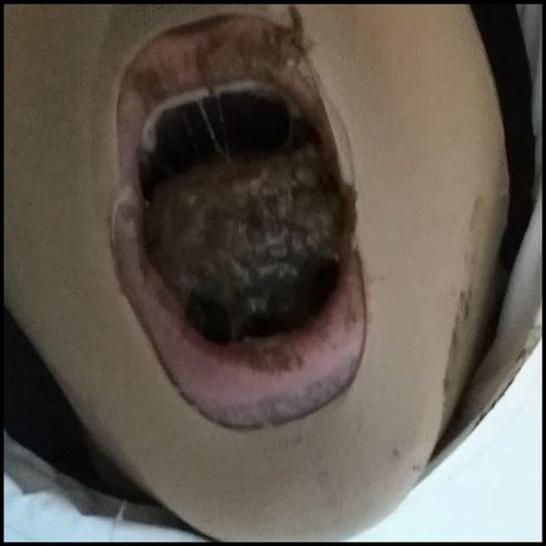 Lady Milena - My new Shithole (Full HD)
