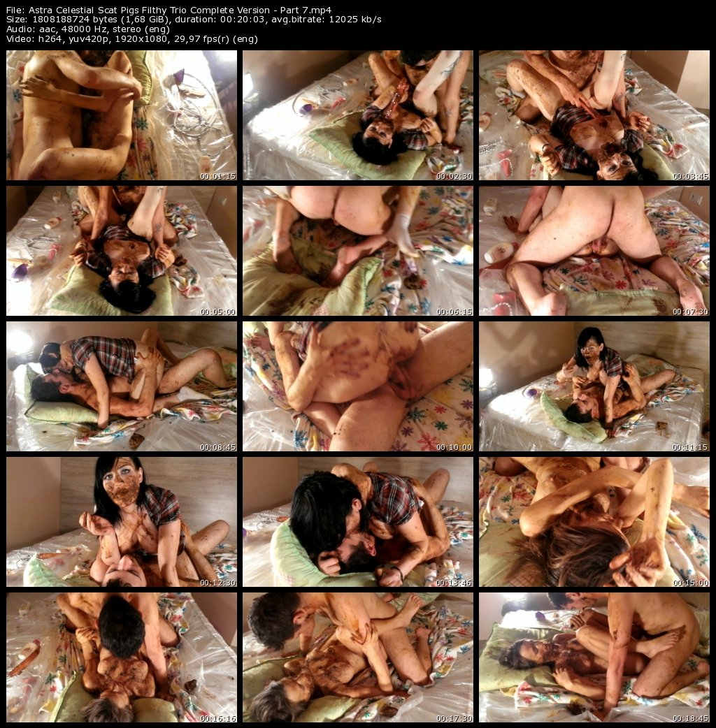 Scat Pigs Filthy Trio - Part 7