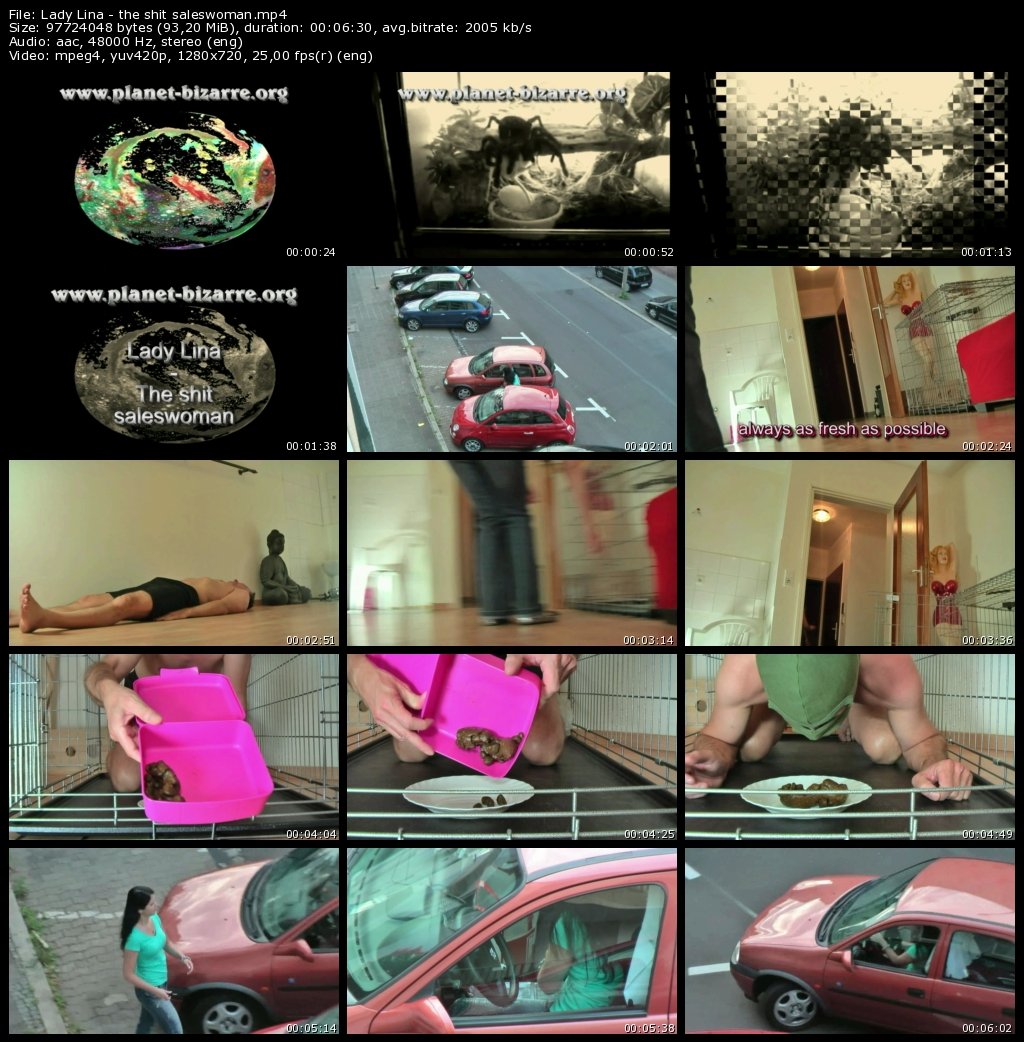 Lady Lina - the shit saleswoman (Trampling and Femdom Scat)