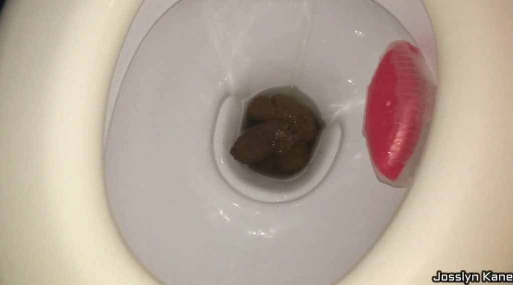 Bowel Movment Compilation - 4