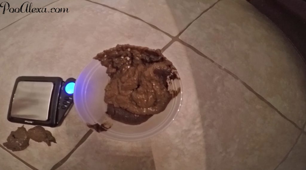 Dirty For Days of Poop - Poo Alexa - 4