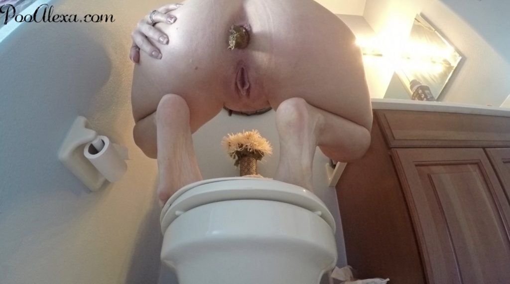 Dirty For Days of Poop - Poo Alexa - 6