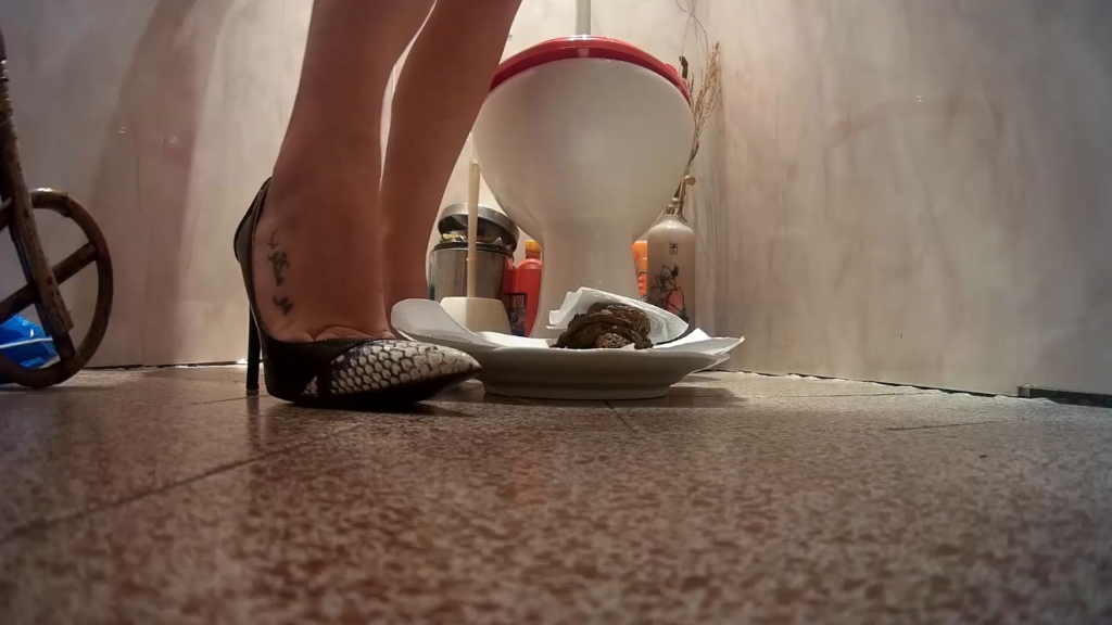 Week of Shitting 7 Videos (Mistress Anna) - 6