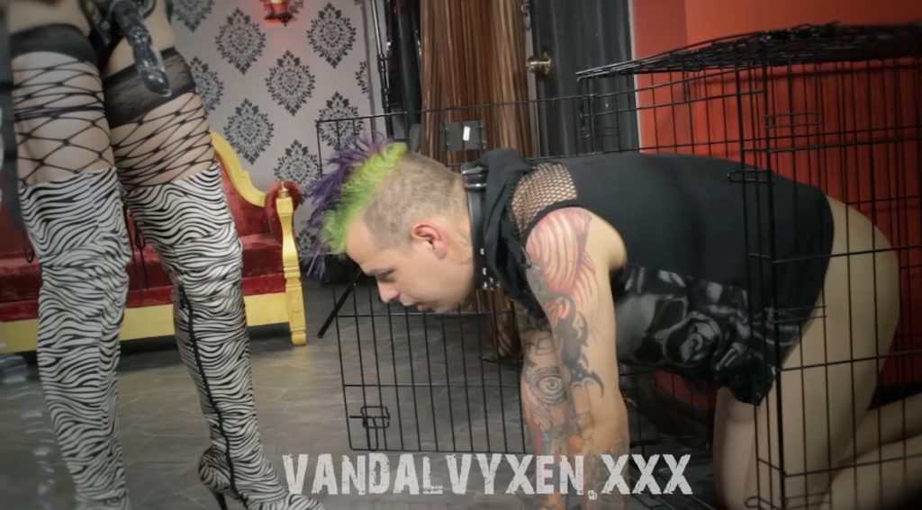 Dudes Get Their Ass Attacked - Patrice Boisvert (VandalVyxen xxx) 2