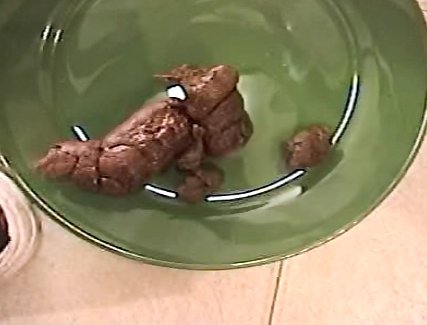 College Girls Pooping - Biker Chicks - 3 (2of2) - 2