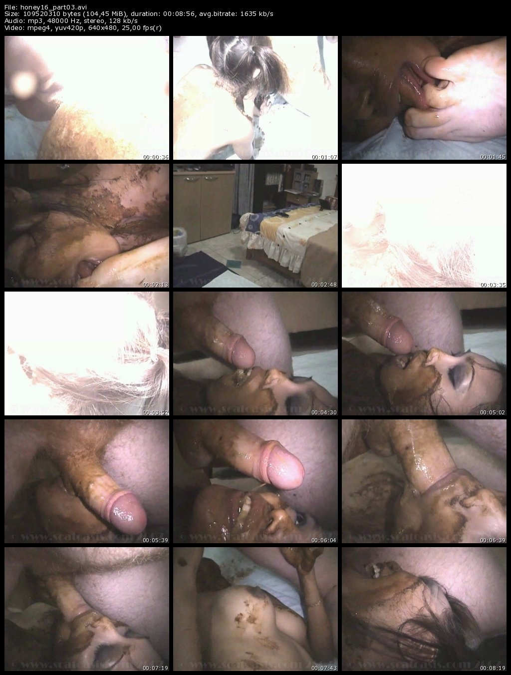 honey16_part03
