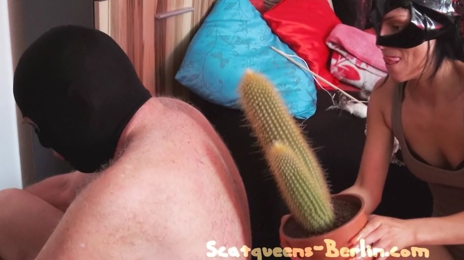 Scat Cats - Scat Out of the Box (Part 1) - Picture 1