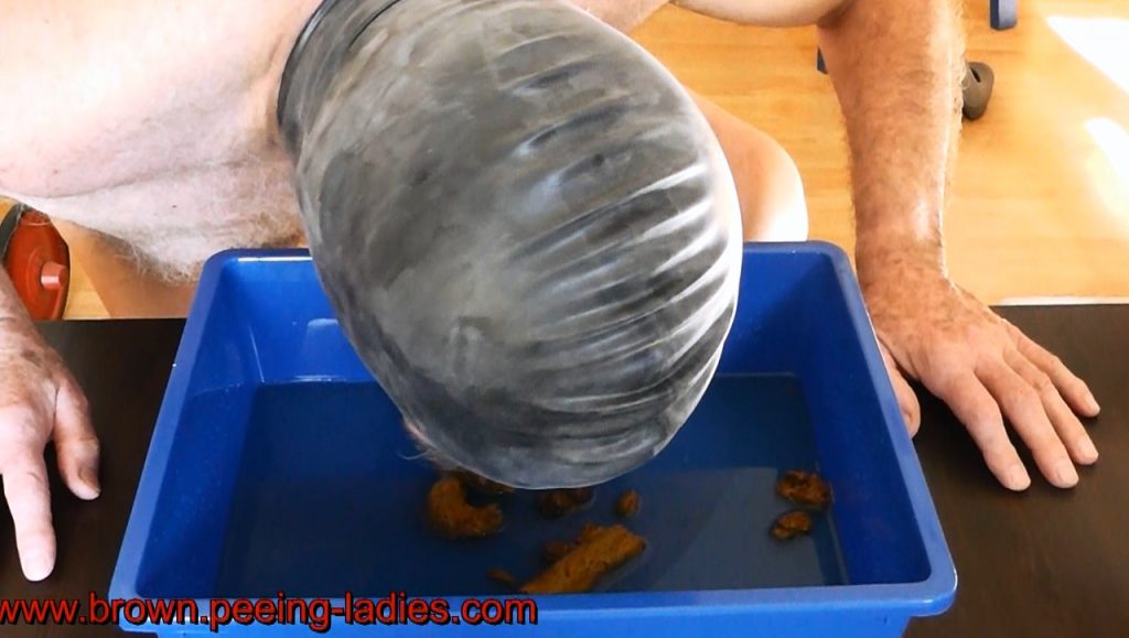 Scat Cats - The Delicious Scat Meal - Picture 4