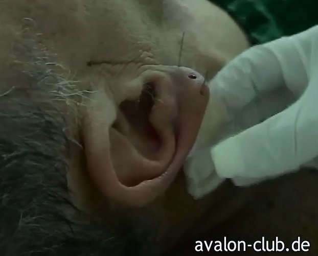 The Dentist - Teil 2 (mit Lady Kate - avalon-club.de) Screen 4