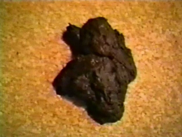Dirty Scat Ladies - Picture 4