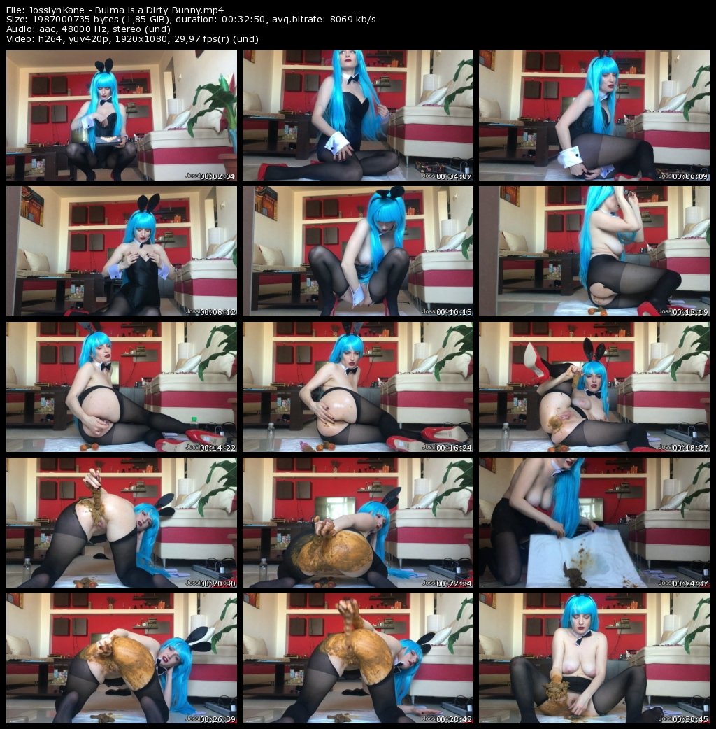 JosslynKane - Bulma is a Dirty Bunny