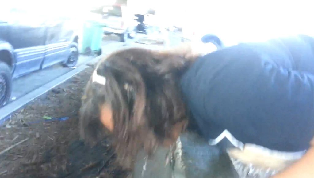 Milk challenge - Picture 3
