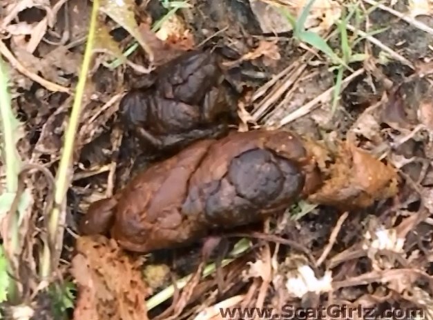Scatgirlz.com (Outdoor Pooping & Pissing) Image 3