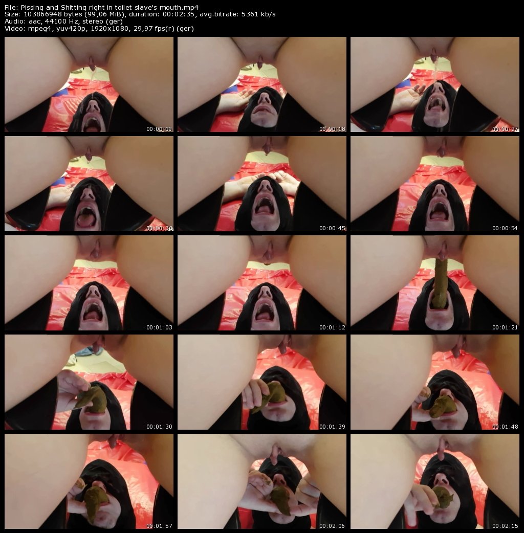 Pissing and Shitting right in toilet slave's mouth