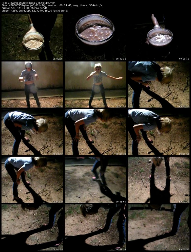 DOWNLOAD Blowing chunks literaly (240p)