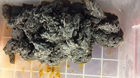 5 Shit for Freezing (Anna Coprofield) 17 of June 2018 - Image 2