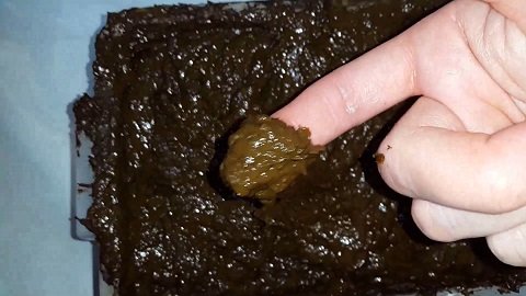 Fill my Pussy 5 Saved and 1 Fresh Shit (Anna Coprofield)