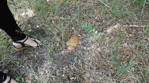 KatyaKASS - Breakfast in the forest with shit (FHD Scat) 22 of June 2018 - Image 3