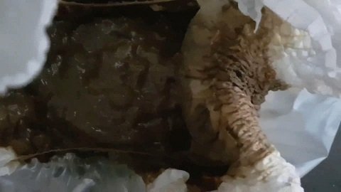 Seductive Wet Diaper (Thefartbabes) 11 of June 2018 - Image 6