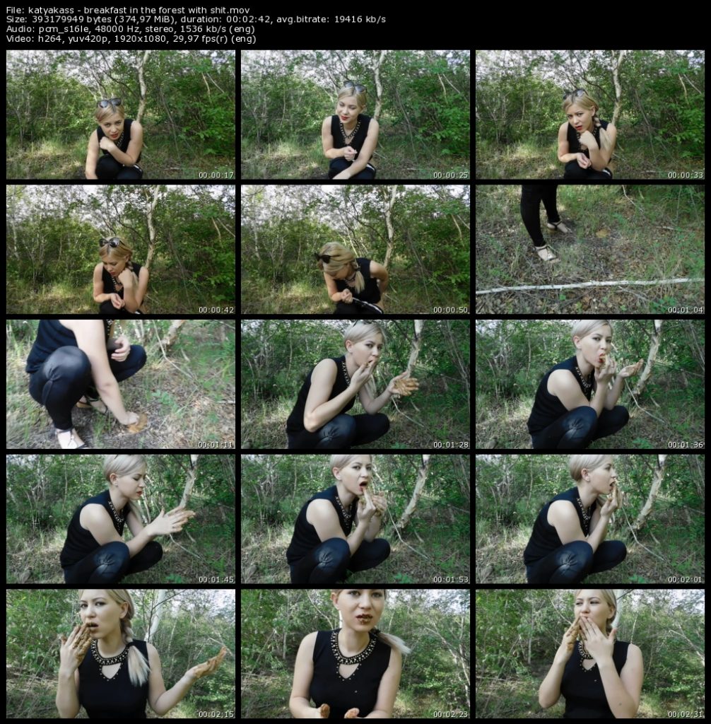 Breakfast in the forest with shit