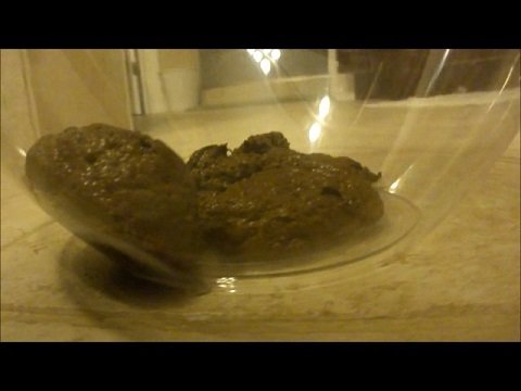 PooAlexa - Diarrhea Shoots Out Of My ASS - Img 2