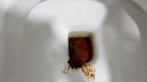 Thefartbabes – Double Monster Shit 16.02.2020