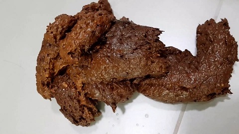 23.04.2020 Thefartbabes - Squatting Huge Poop